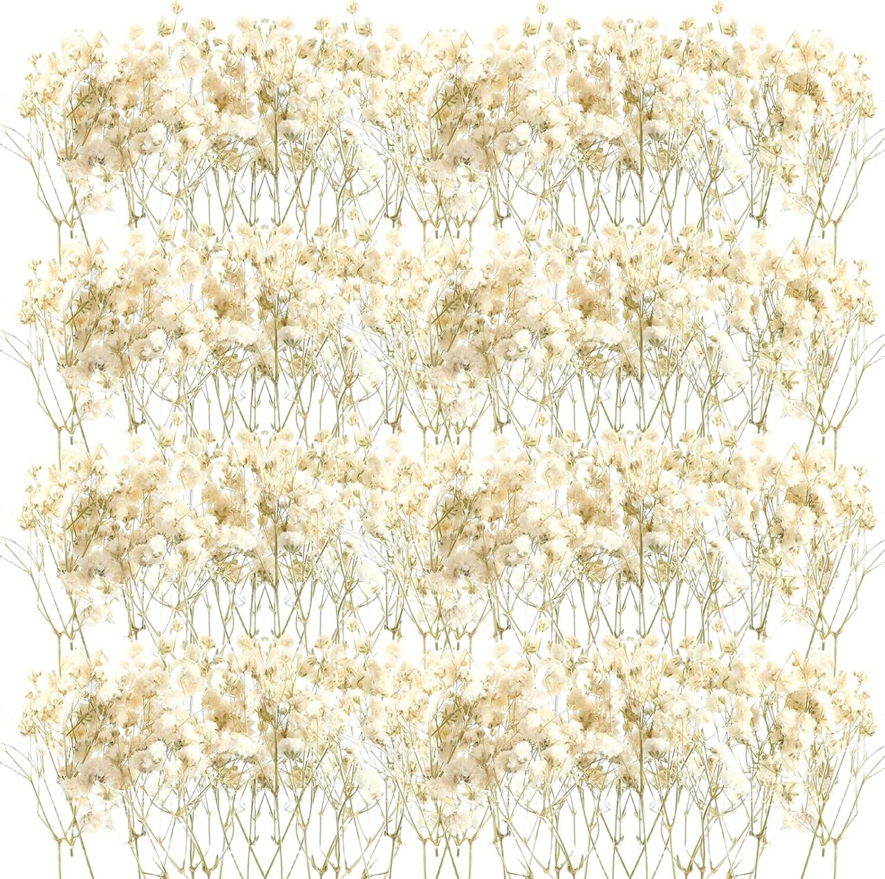 50 Pcs Mini Dried Baby Breath Flowers Wedding Ivory Natural Flowers Bulk Dried Gypsophila for Vase Brides Shower Invitation Card DIY Candle Making Decor Craft Party Resin Art, 2-4 in